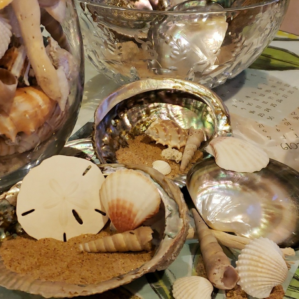 Meet your Posher, Felicia